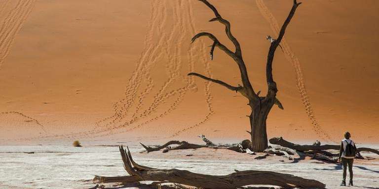 Dunes, Deltas & Falls Discoverer trip - alternative tour available