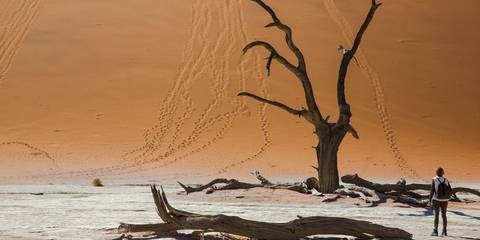 Windhoek Wildlife Tour: Dunes, Deltas & Falls Discoverer