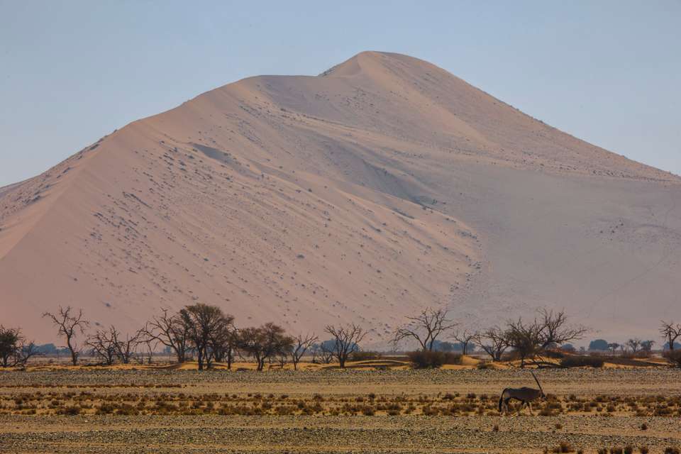 Dunes, Deltas & Falls Discoverer - G Adventures - Zimbabwe - Image 18