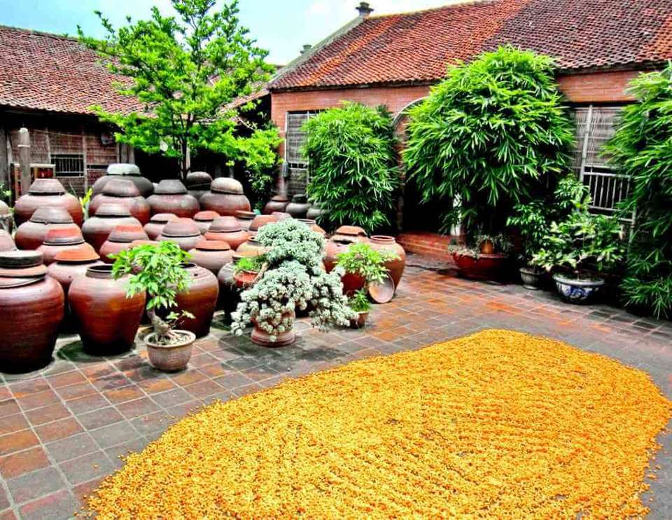 Duong Lam Ancient Village Day Tour - undefined - Image 6