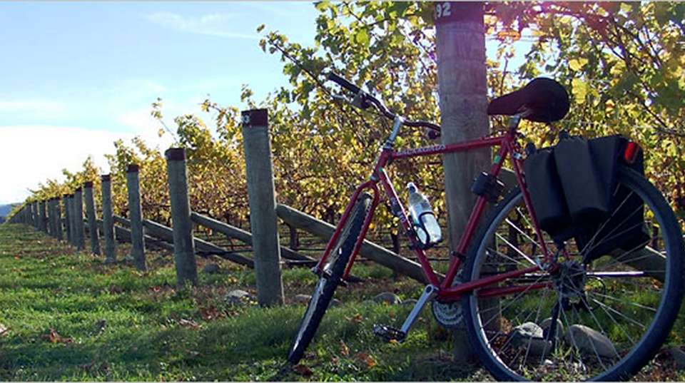E-Bike Chianti Tour from Siena with Winery Lunch - Tuscan Escapes - Italy