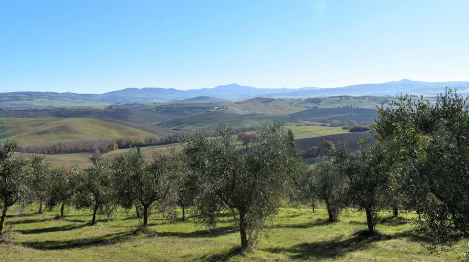 E-Bike Chianti Tour from Siena with Winery Lunch - Tuscan Escapes - Italy