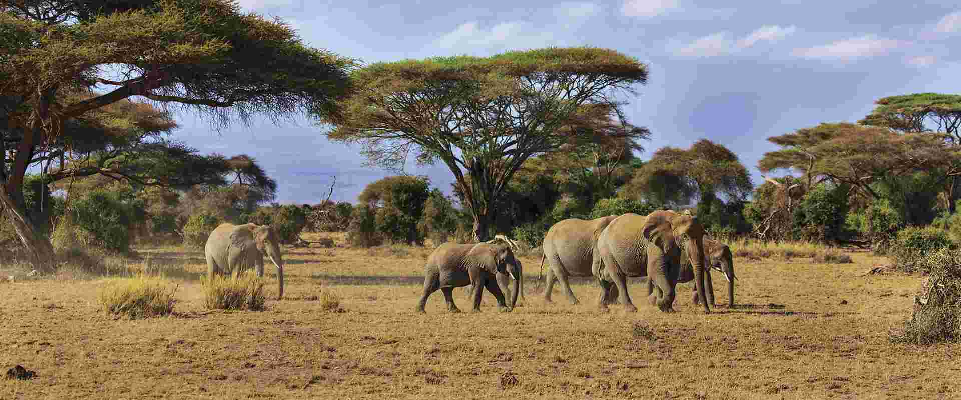 East African Adventure