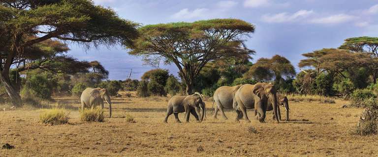 East African Adventure - 14 days