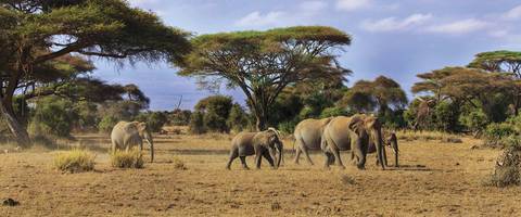 East African Adventure - Spring Tours