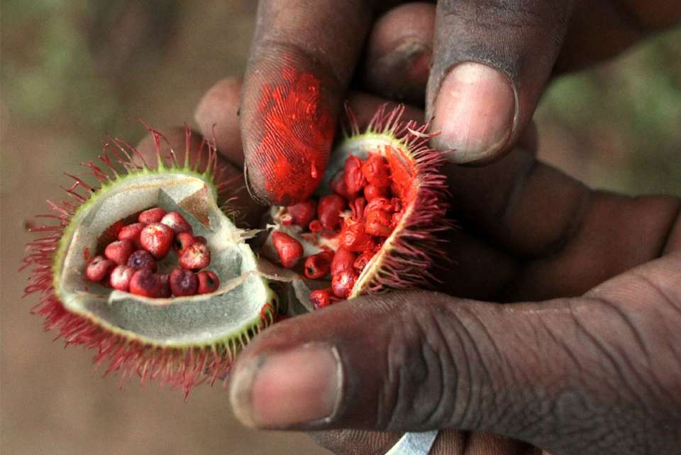 East Africa Safari & Coast - Intrepid Travel - Kenya - Image 14