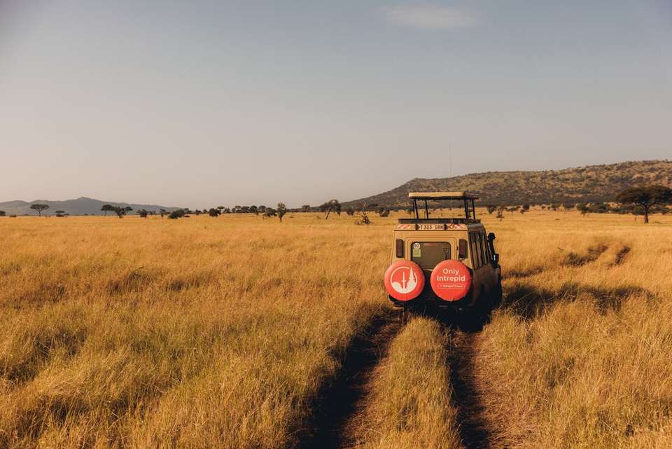 East Africa Safari & Coast - Intrepid Travel - Kenya - Image 9