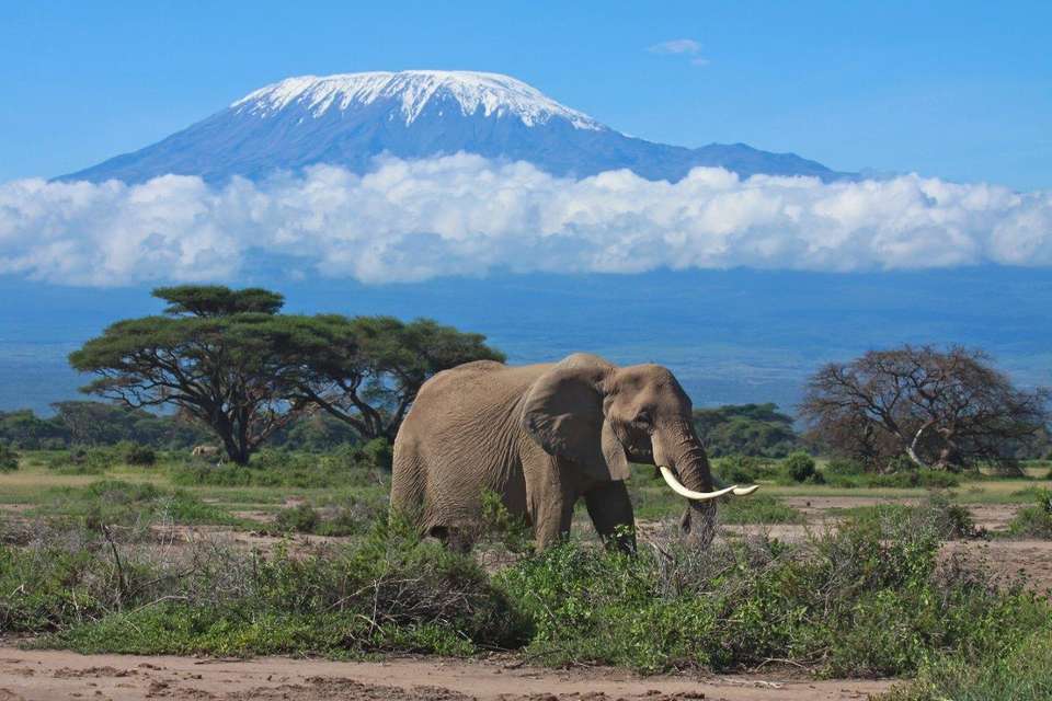 East African Explorer, Zebra Plains And Serena Lodges (multi Country) - Destination Services - Kenya - Image 4