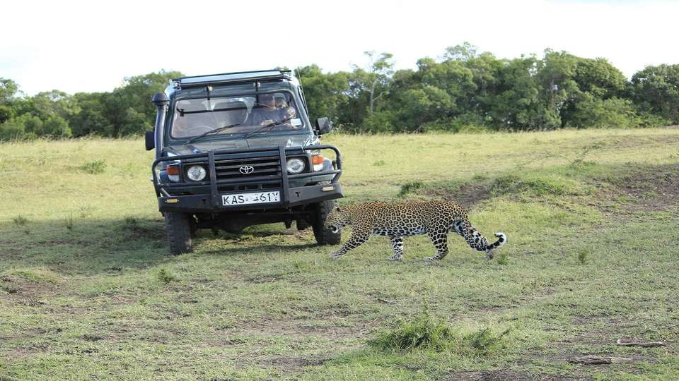 East African Explorer with Serena Lodges - Indus Travels - Kenya - Image 11