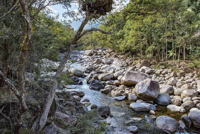 Sydney and NSW Explorer Tour: East Coast Australia Adventure