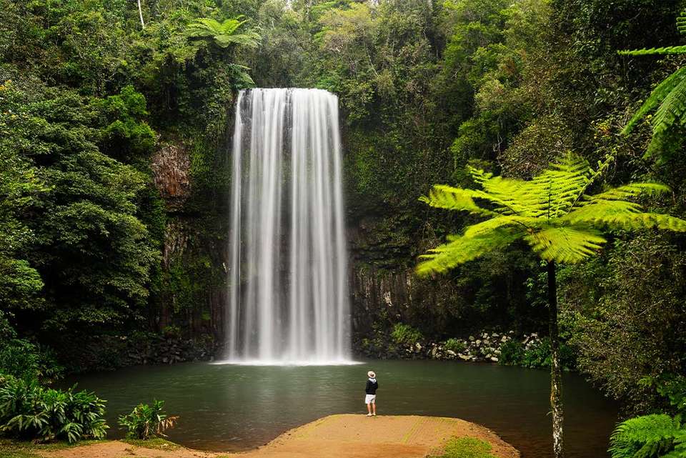East Coast Australia Adventure - Intrepid Travel - Australia - Image 6
