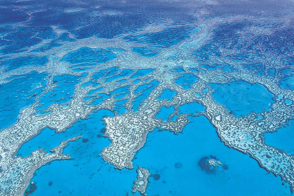 East Coast Australia Adventure - Intrepid Travel - Australia - Image 7