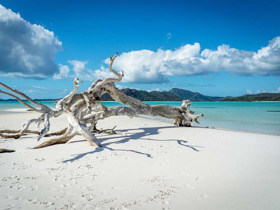 East Coast Encompassed - 16 days - On The Go Tours - Australia - Image 6