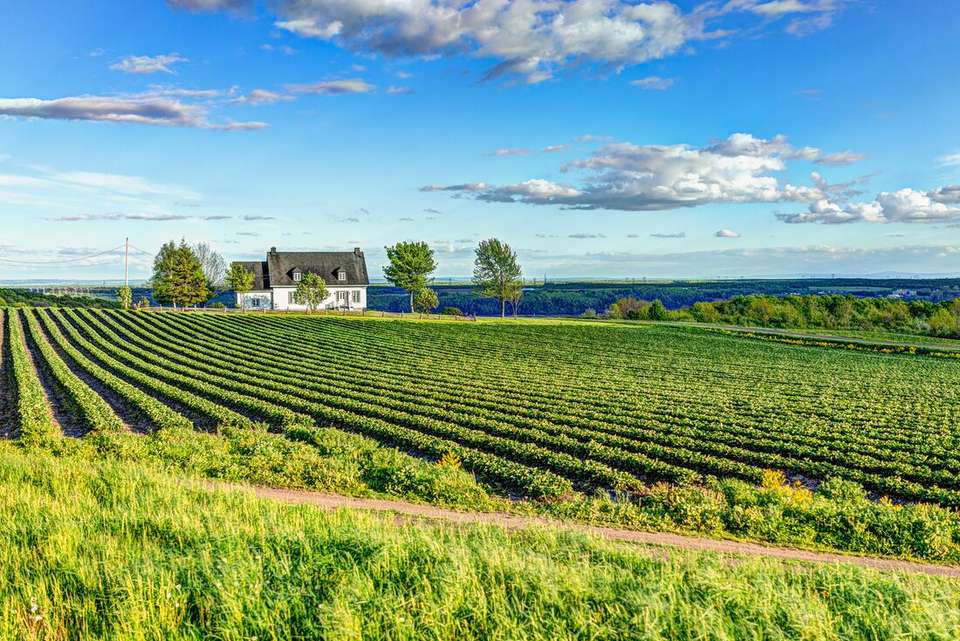 Eastern Canada by Rail - Intrepid Travel - Canada - Image 8