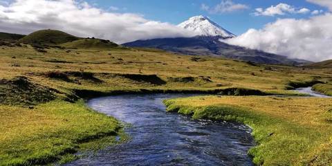 Wildlife Tour: Journeys: Ecuador’s Amazon And Volcanoes