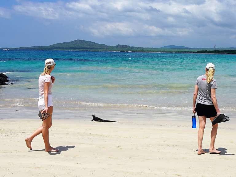 Ecuador & Galapagos Family Adventure - 12 days trip - alternative tour available