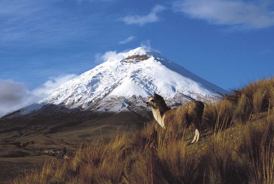 Ecuador & Galapagos Islands Explorer (Private) - 13 days - On The Go Tours - Ecuador - Image 4