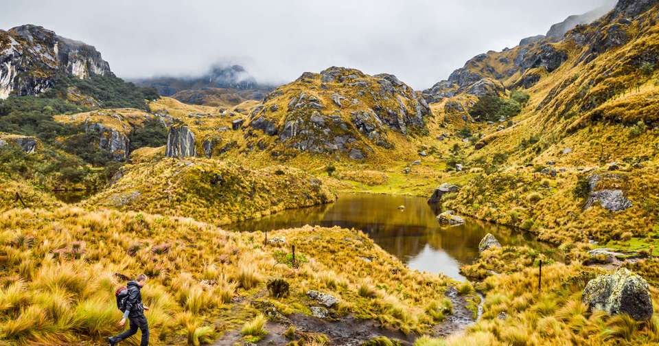 Ecuador - Andes to Amazon - Explore - Ecuador - Image 19