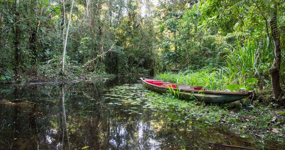 Ecuador - Andes to Amazon - Explore - Ecuador - Image 14