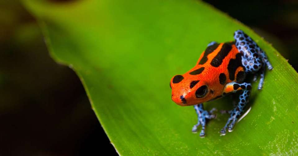 Ecuador - Andes to Amazon - Explore - Ecuador - Image 12