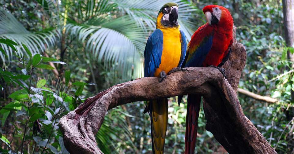 Ecuador - Andes to Amazon - Explore - Ecuador - Image 11