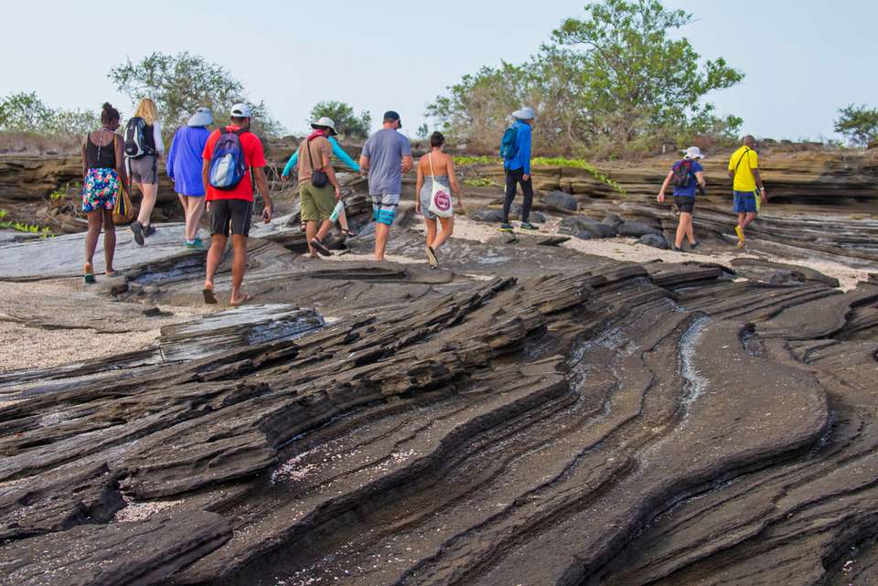 Ecuador Highlands & Galapagos - Intrepid Travel - Ecuador - Image 4