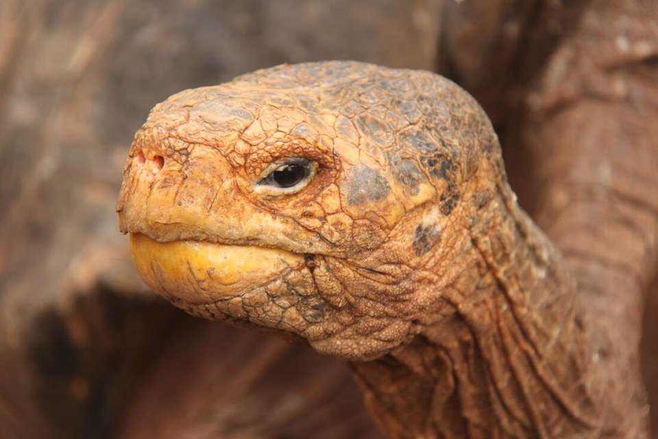 Ecuador Highlands & Galapagos - Intrepid Travel - Ecuador - Image 7