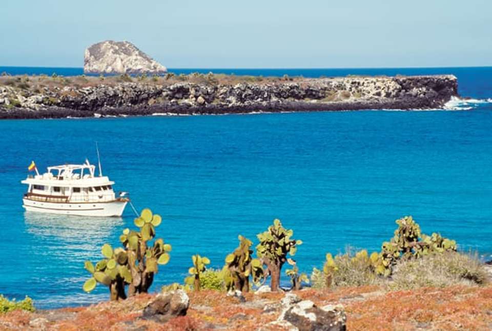 Ecuador Highlands & Galapagos Islands - 15 days - On The Go Tours - Ecuador - Image 5