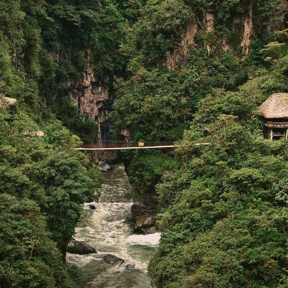 Ecuador in a Week - undefined - Image 7