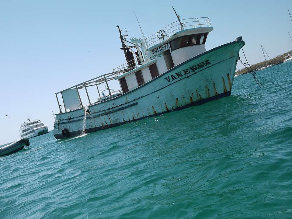 Image 7 of 17