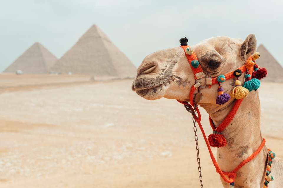 Egypt: Alexandria to Aswan - Exodus Adventure Travels - Egypt - Image 15