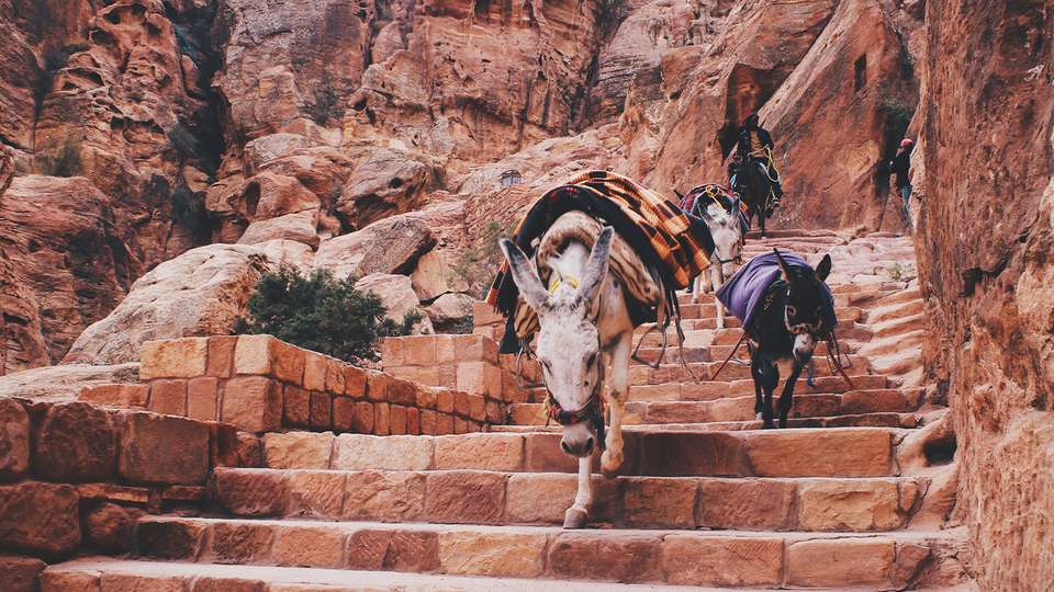 Egypt and Jordan  - Collette Tours - Jordan - Image 2