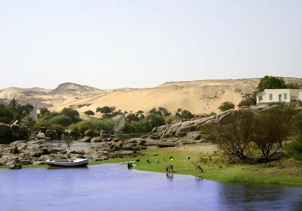 Egypt Express - Indus Travels - Egypt - Image 7