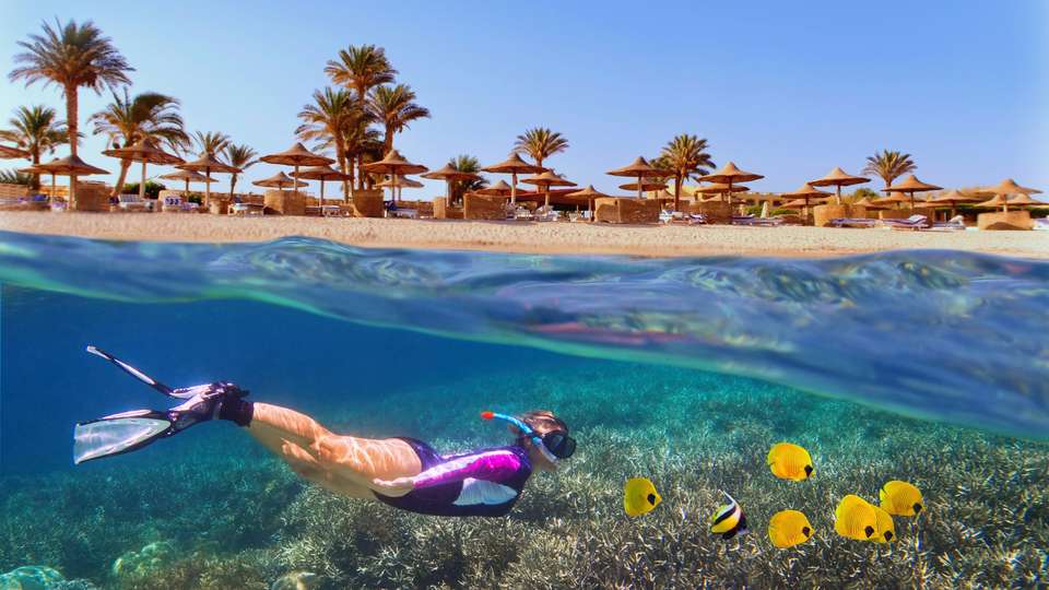 Egypt Nile Jewel with 5* Boat Cruise - Expat Explore - Egypt - Image 4