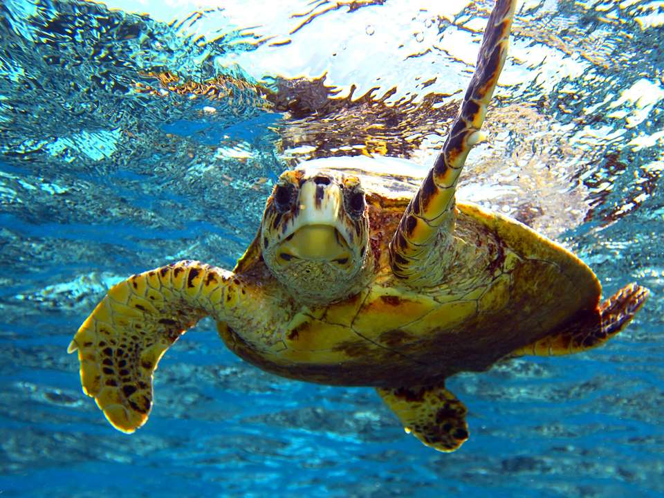 Egyptian Family Adventure & Red Sea - 13 days - On The Go Tours - Egypt - Image 6