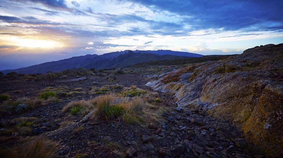 Eight-Day Kilimanjaro: Machame Route - Kilisa Tours & Safaris - Tanzania - Image 3