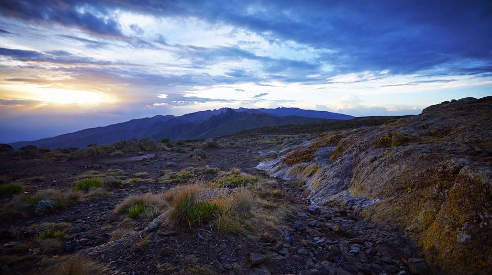 Eight-Day Mount Kilimanjaro Climb: Lemosho Route - Kilisa Tours & Safaris - Tanzania - Image 3