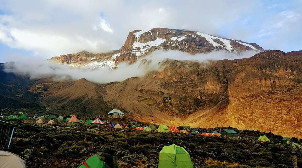 Eight-Day Mount Kilimanjaro Climb: Lemosho Route - Kilisa Tours & Safaris - Tanzania - Image 5