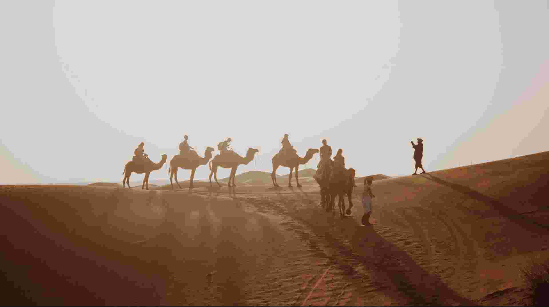 Eight Day Tour From Casablanca to Marrakech