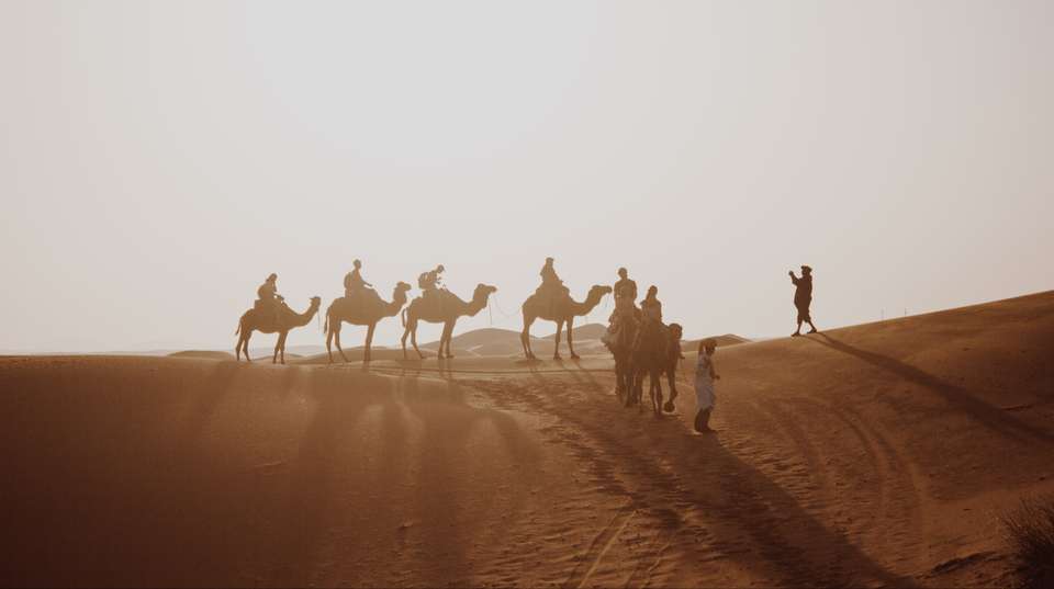 Eight Day Tour From Casablanca to Marrakech - Guided Morocco Tours - Morocco - Image 1