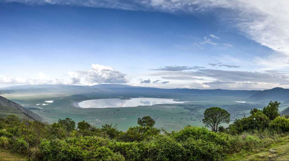 Eight Days Classic Best of Tanzania Safari - Salty Travel - Tanzania - Image 3