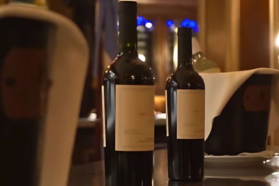 El Aljibe Dinner Show & Wine Tasting - undefined - Image 9
