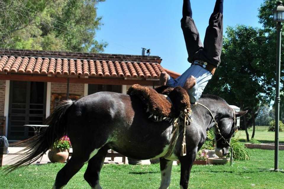El Ombu Ranch in San Antonio de Areco - Tangol Tours - Argentina - Image 2