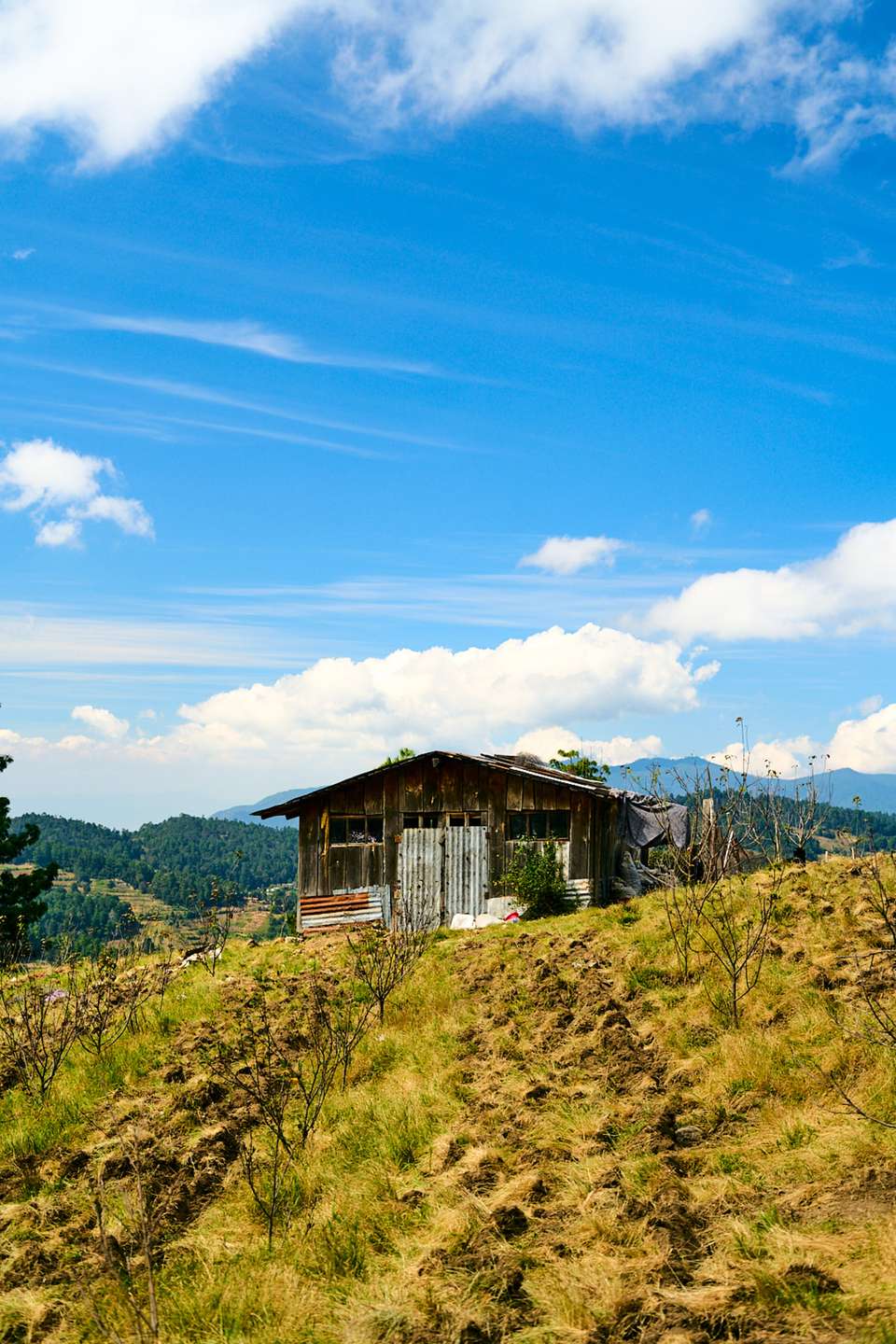 Embark on the Enchanting Zapotec Trails 4D/3N - Bamba - Mexico - Image 4