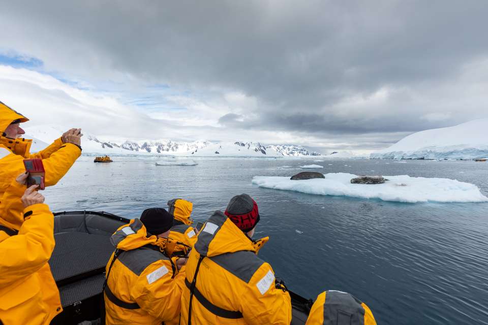 Emperor Penguin Quest: Expedition to Snow Hill - Exodus Adventure Travels - Argentina - Image 9