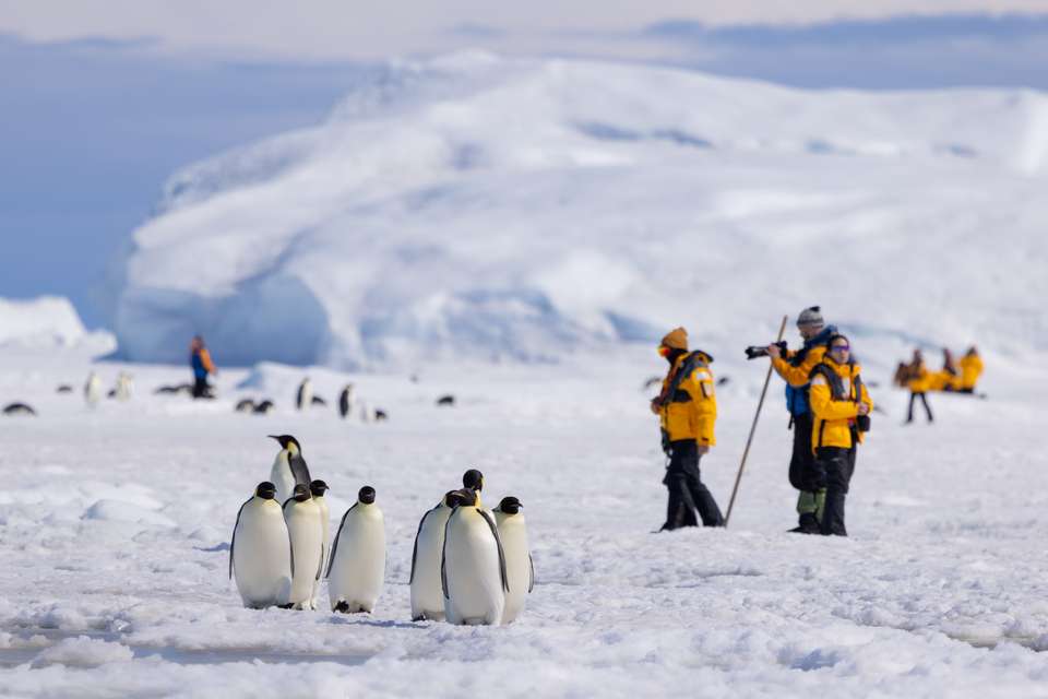 Emperor Penguin Quest: Expedition to Snow Hill - Exodus Adventure Travels - Argentina - Image 11