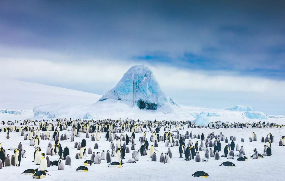 Emperor Penguin Quest: Expedition to Snow Hill - Exodus Adventure Travels - Argentina - Image 12