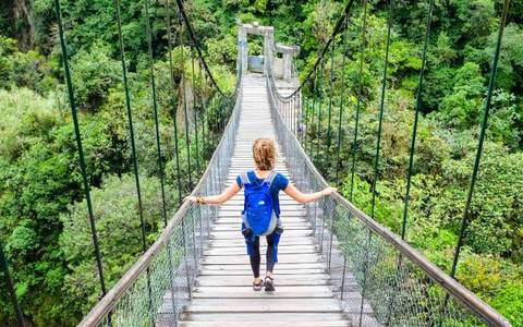 Quito Cultural, Religious And Historic Sites Tour: Enchanted Ecuador: Rainforest, Andes, And Culture 9d/8n