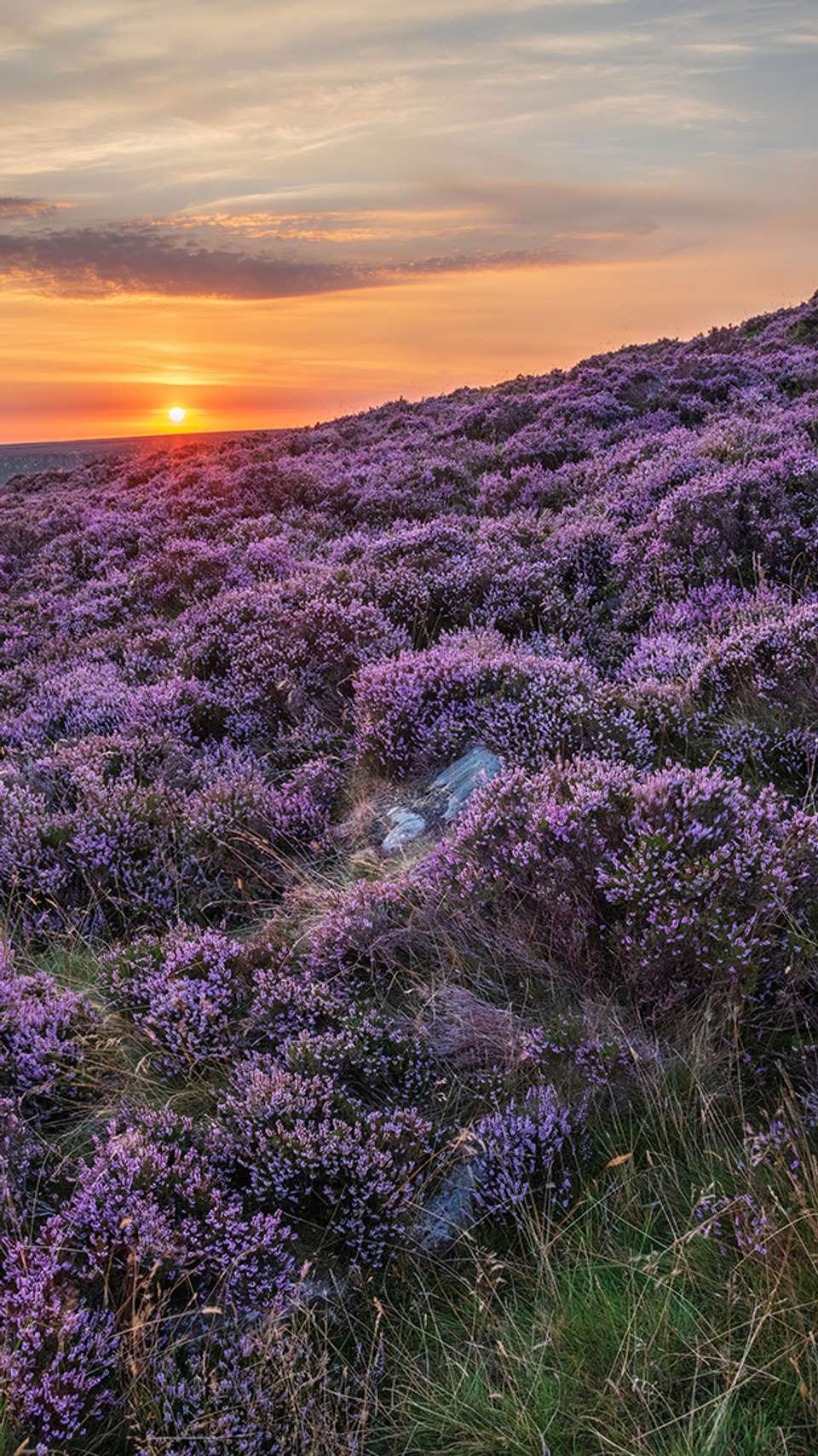 Enchanting Eastern England - Back-roads Touring - Scotland - Image 3