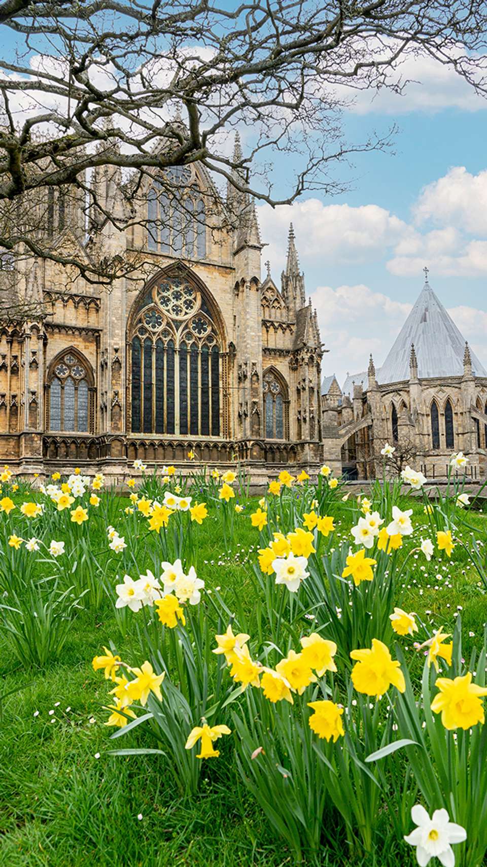 Enchanting Eastern England - Back-roads Touring - Scotland - Image 6